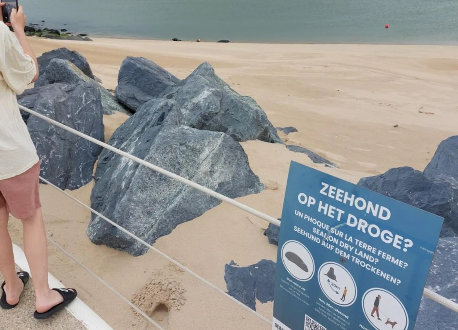 Bonelly Apartment Ostend